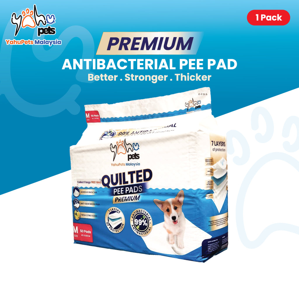 Premium 99% Antibacterial Pee Pad