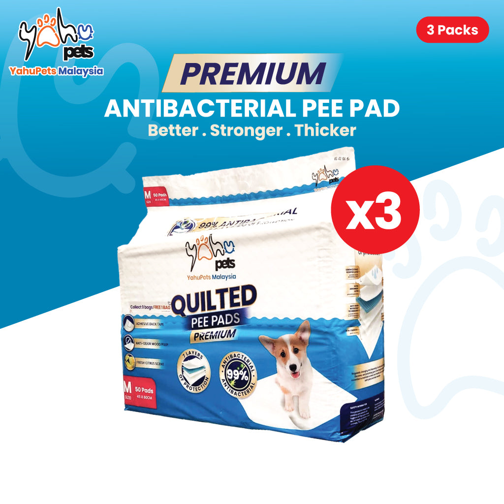 (Buy 3 Free 1*) Premium 99% Antibacterial Pee Pad