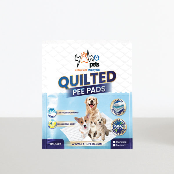 Premium 99% Antibacterial Pee Pad Trial Kit