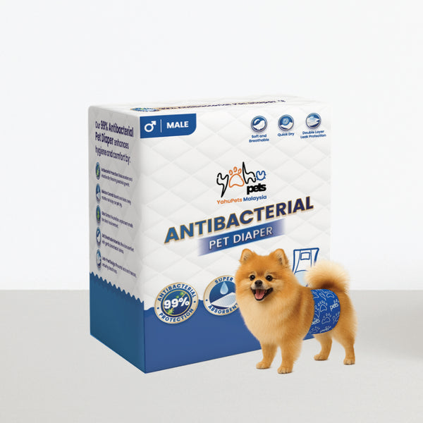 99% Antibacterial Pet Diaper (Male) - Bacteria Protection, Odor Control, All-Day Comfort