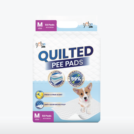 Standard 99% Antibacterial Pee Pad - Odor Control, Clean Use, Strong Absorbency