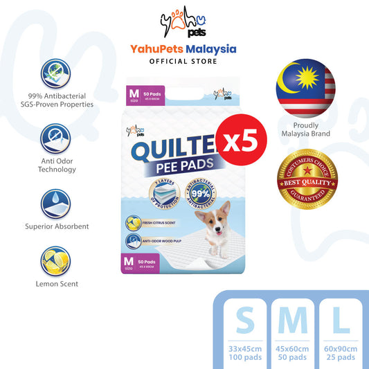 (Buy 5 Free 1) 99% Antibacterial Pee Pad