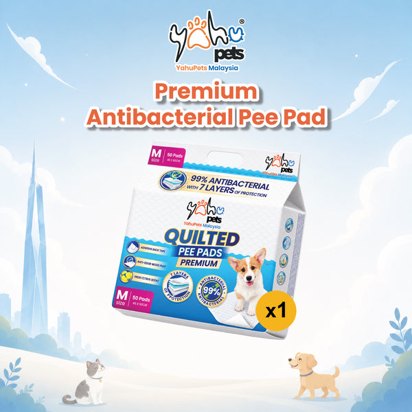 Premium 99% Antibacterial Pee Pad - No Odor, No Mess, Max Absorbency