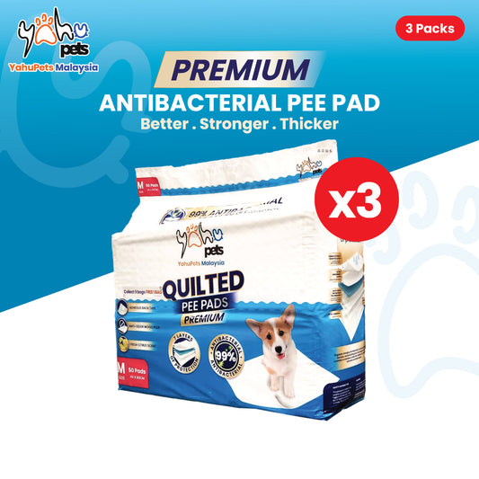 (Buy 3 Free 1*) Premium 99% Antibacterial Pee Pad