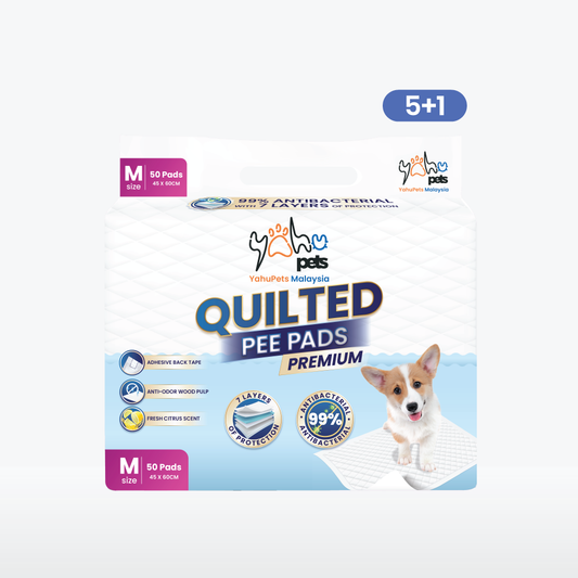 Buy 5 Free 1 | Premium 99% Antibacterial Pee Pad – No Odor, No Mess, Max Absorbency