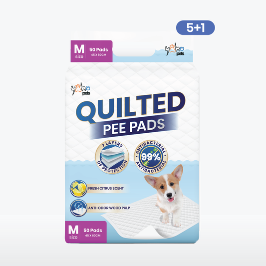 Buy 5 Free 1 | Standard 99% Antibacterial Pee Pad - Odor Control, Clean Use, Strong Absorbency