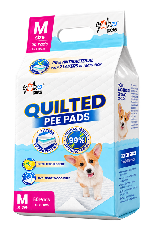 Standard Antibacterial